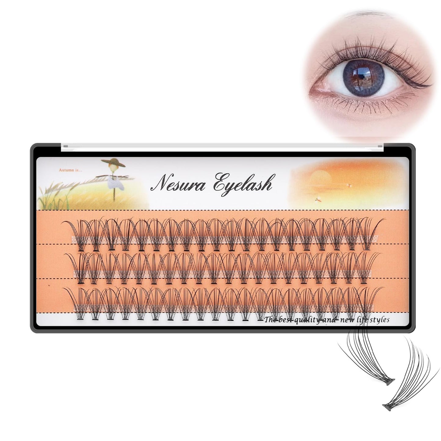 10 Root 60Pcs 8-10-12-14-16Mm Mixed Black Handmade False Eyelashes Natural Long Individual Eyelashes Extension Fake Lashes Makeup Beauty Cosmetic (5 PACKS-8MM)