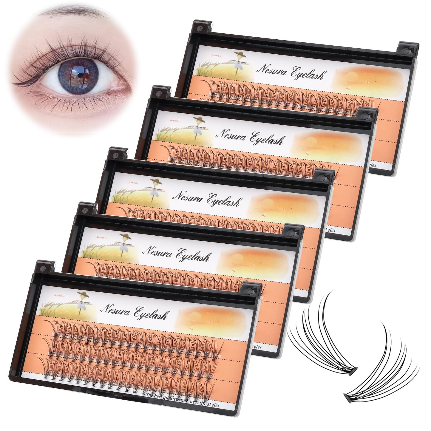 10 Root 60Pcs 8-10-12-14-16Mm Mixed Black Handmade False Eyelashes Natural Long Individual Eyelashes Extension Fake Lashes Makeup Beauty Cosmetic (5 PACKS-8MM)